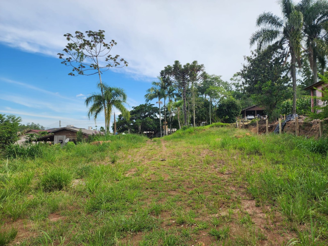 Terreno para venda, Centro em Maquiné | Ref.: 2081